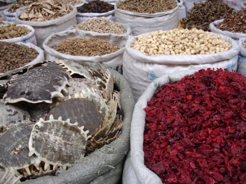 Tortoise shells, among other things