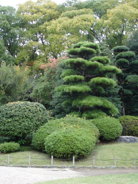 Keitakuen garden